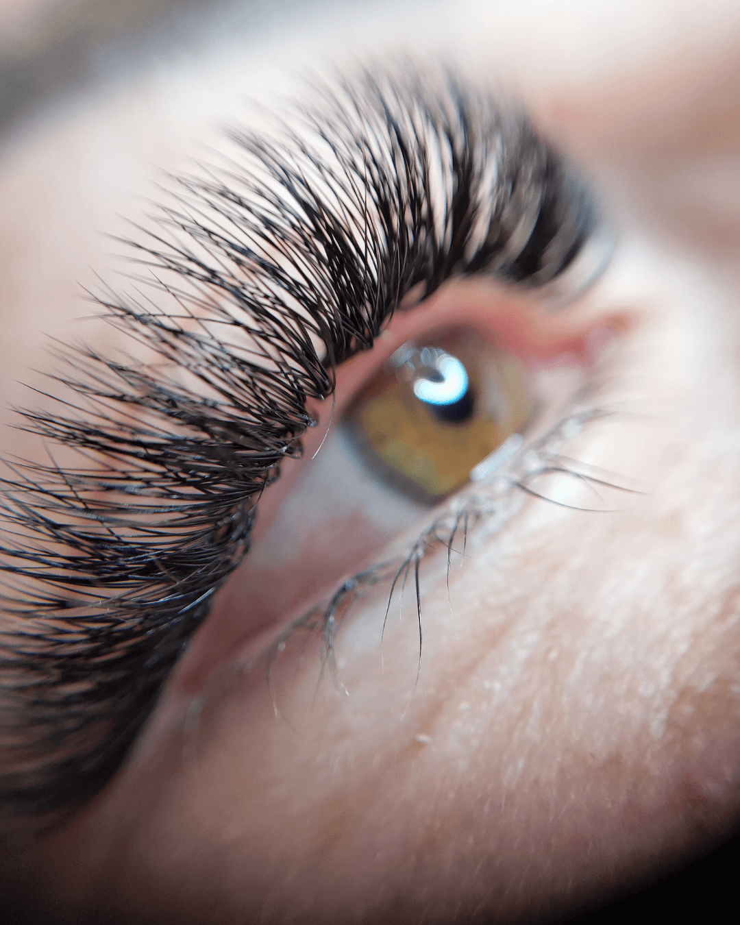 Wimpernverlängerung Ergebnis Heilbronn — voluminöse Lashes